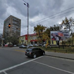 Mytropolyta Vasylia Lypkivskoho Street, 33, Kyiv: photo