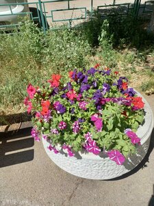 Agibalova Street, 70, : foto
