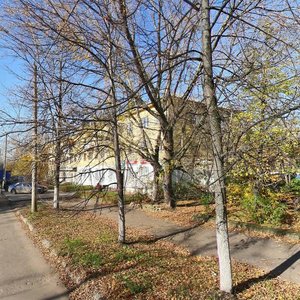 Vitebskaya Street, 66, Nizhny Novgorod: photo