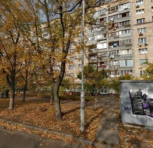 Entuziastiv Street, 11, Kyiv: photo