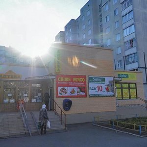 Vulytsia Nekrasova, 30, Bila Tserkva: photo