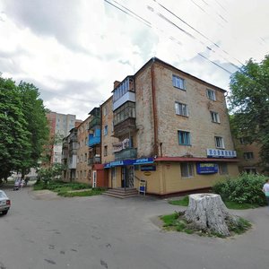 Vulytsia Pyrohova, 91, Vinnytsia: photo