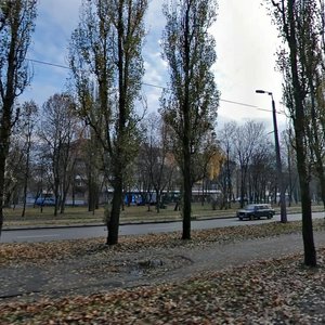 Vatslava Havela Boulevard, 43, Kyiv: photo