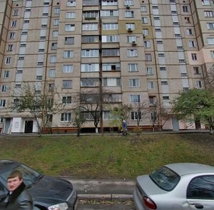 Vilhelma Kotarbinskoho Street, 17, Kyiv: photo