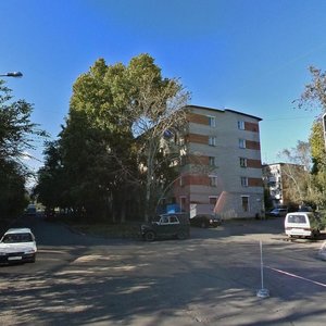 Lenina Avenue, 44/2, : foto
