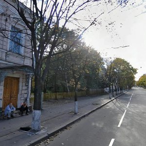 Blahovishchenska Street, 17, Kharkiv: photo