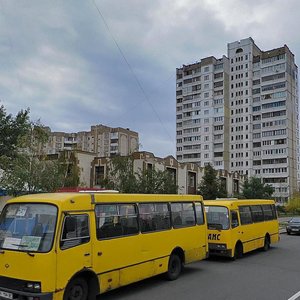 Киев, Будищанская улица, 3: фото