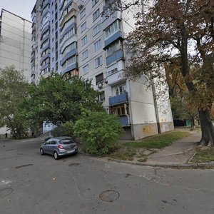 Ryzka Street, 18, Kyiv: photo