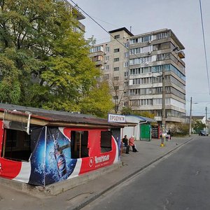 Oleha Olzhycha Street, 18А, Kyiv: photo