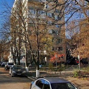 Pylypa Orlyka Street, 11/1, Kyiv: photo