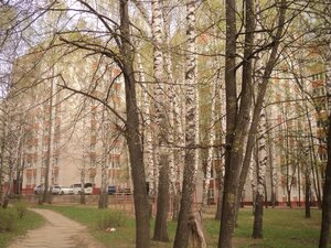 Kukshumskaya Street, 9 ، : صورة