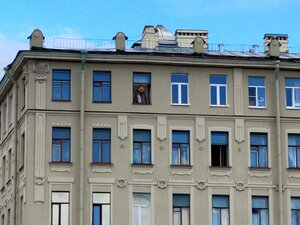Fontanka River Embankment, 96, Saint Petersburg: photo