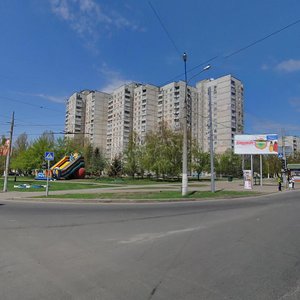 Vulytsia Hvardiitsiv-Shyronintsiv, 19/47, Kharkiv: photo