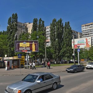 Vulytsia Semena Paliia, 96А, Odesa: photo