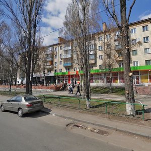 Borschahivska Street, 212, Kyiv: photo