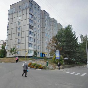 Kashtanova vulytsia, 15, Obukhiv: photo