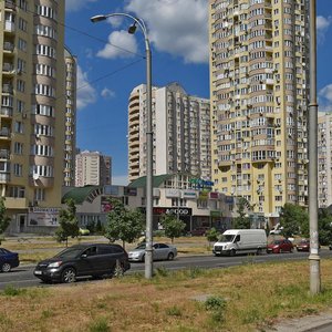 Anny Akhmatovoi Street, 46А, Kyiv: photo