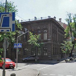 Shovkovychna Street, 17, Kyiv: photo