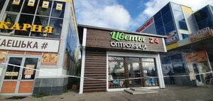 Koltushskoye shosse, 4Б ، سانت بطرسبرغ ومقاطعة لينينغراد: صورة