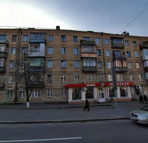 Bastionna Street, 10, Kyiv: photo