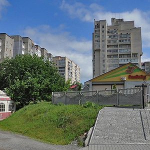 Vulytsia Maksyma Zalizniaka, 8 ، : صورة