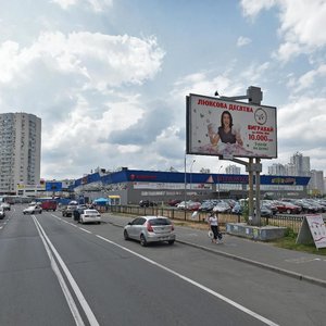 Киев, Улица Александра Мишуги, 4: фото