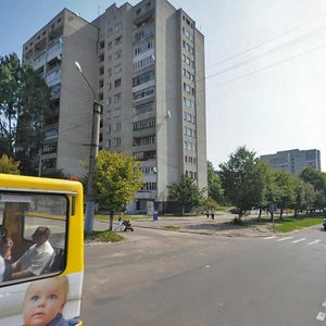 Vulytsia Hrinchenka, 6Б, Lviv: photo