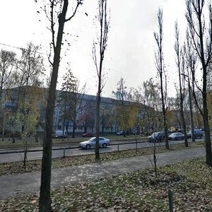 Vatslava Havela Boulevard, 21, Kyiv: photo