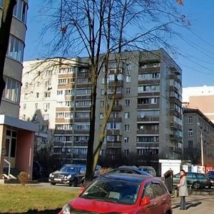 Tatarska Street, 21, Kyiv: photo