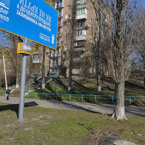 Ioanna Pavla II Street, 13, Kyiv: photo