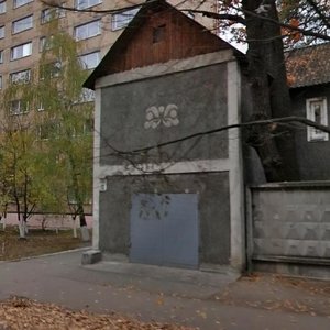 Anatoliia Petrytskoho Street, 12, Kyiv: photo