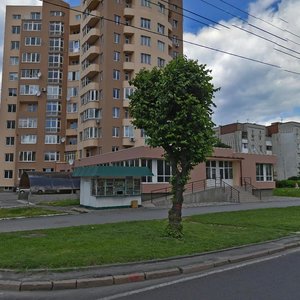 Liubinska vulytsia, 160Б, Lviv: photo