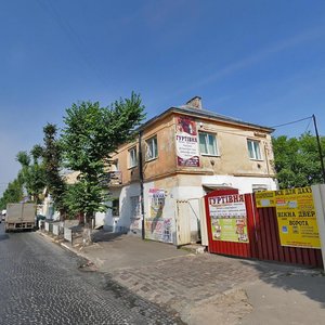 Lychakivska vulytsia, 227, Lviv: photo