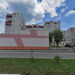 Vulytsia Rodiona Skaletskoho, 36А, Vinnytsia: photo