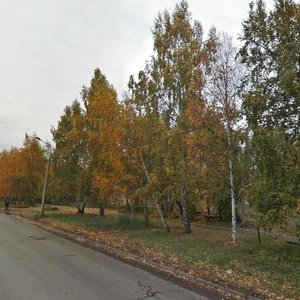 Gushina Street, 189, Barnaul: photo