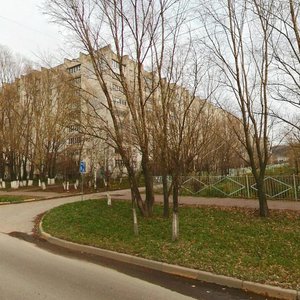 Admirala Makarova Street, 8, Nizhny Novgorod: photo