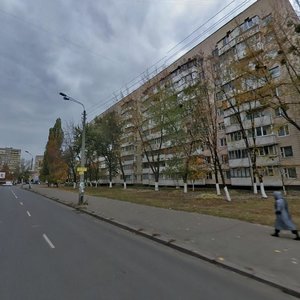 Hnata Yury Street, 1, Kyiv: photo