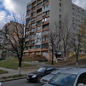 Vadyma Hetmana Street, 22А, : foto