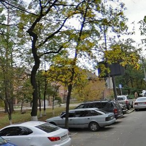 Mykhaila Kotelnykova Street, 49, Kyiv: photo