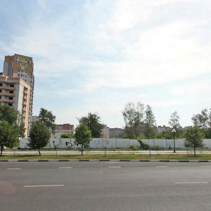 Moskovskiy Avenue, 90, Voronezh: photo