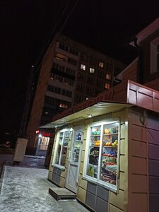 Narodnaya ulitsa, 1А, Novokuznetsk: photo