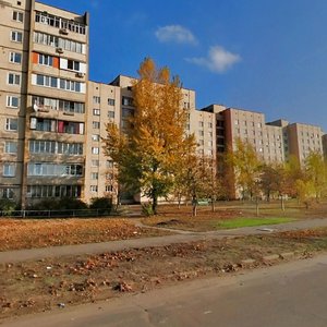 Petra Vershyhory Street, 7, Kyiv: photo