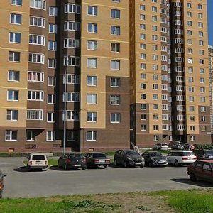 Doblesti Street, 14к1, Saint Petersburg: photo