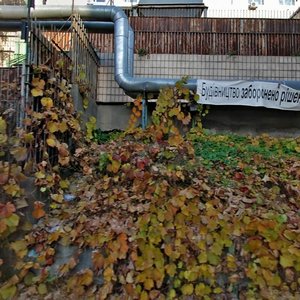 Akademika Bohomoltsa Street, No:10, Kiev: Fotoğraflar