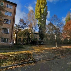 Burmystenka Street, 7/11 ، كييف: صورة