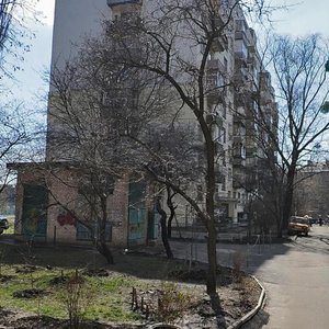 Cheska Street, 4 ، كييف: صورة