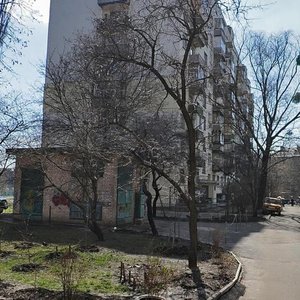 Cheska Street, 4, Kyiv: photo