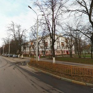 Chelyuskintsev Street, 4, Nizhny Novgorod: photo