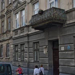 Vulytsia Pid Dubom, 11, Lviv: photo