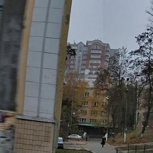 Akademika Yanhelia Street, 20, Kyiv: photo